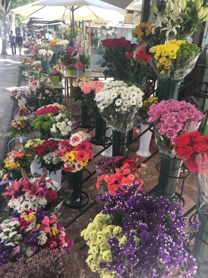 Valencia flower market