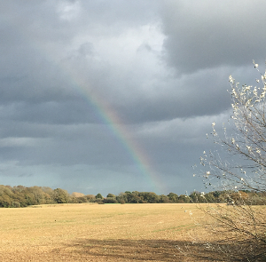 Rainbow in Bosham
