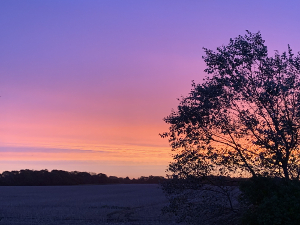 Sussex sunrise