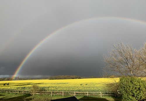 Gold field rainbow photo by Amand Howse