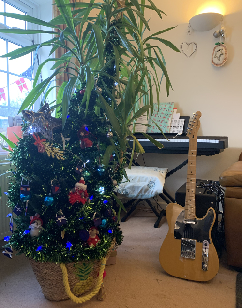 'Hybrid' Yucca Xmas Tree in Musical Sitting Room